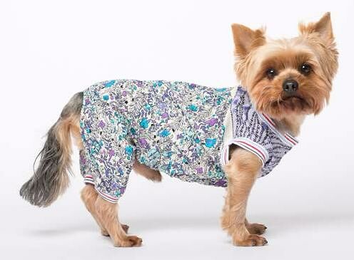 Комбинезон для собак Пляжный L синий (унисекс)