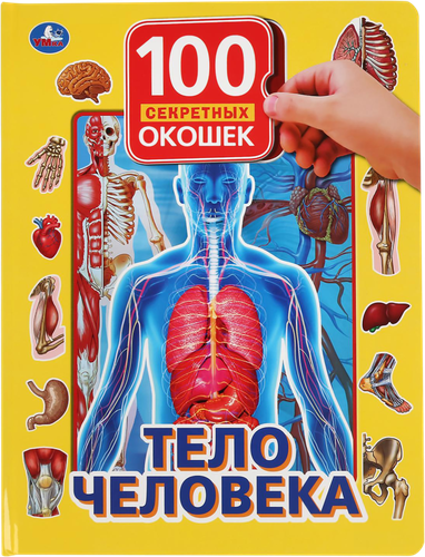 

Тело человека. УМка. 100 секретных окошек
