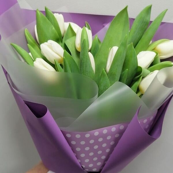 Bright tulips тюльпаны