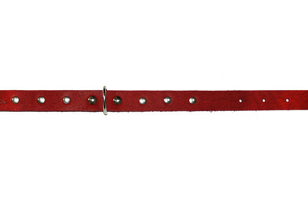 Ошейник для собак средних пород тиснение красный 51х2 см