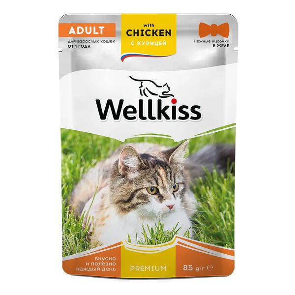 Влажный корм Adult Wellkiss для взрослых кошек с курицей в желе