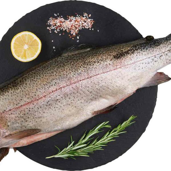 Форель охлаждённая, Турция