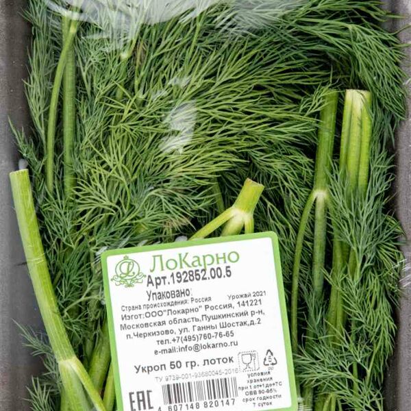 Укроп ЛоКарно