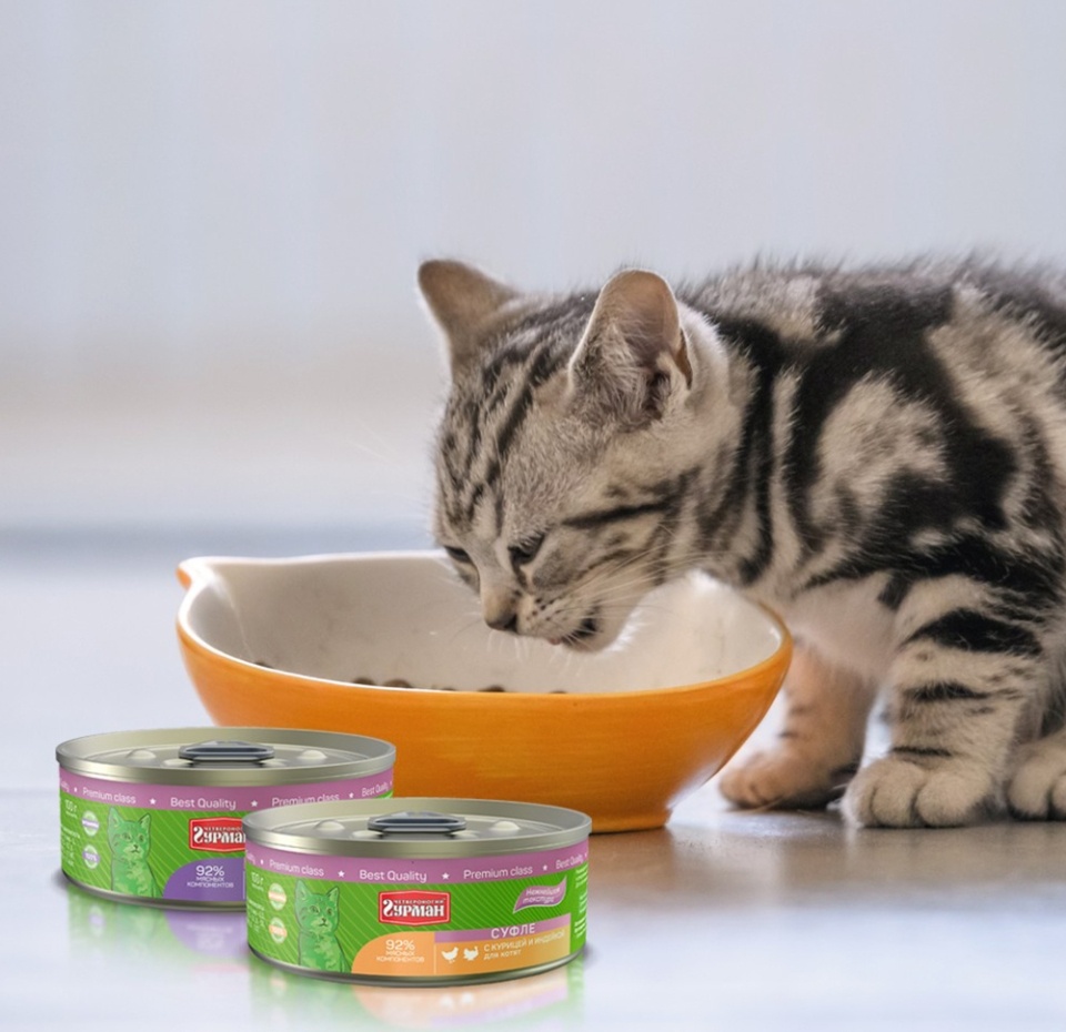 

Корм для котят Четвероногий гурман курица, индейка суфле 100 г