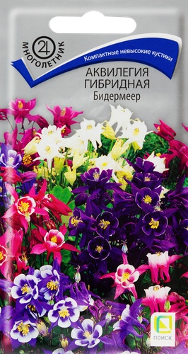 

Семена Поиск Аквилегия Бидермеер гибридная 0.1 г