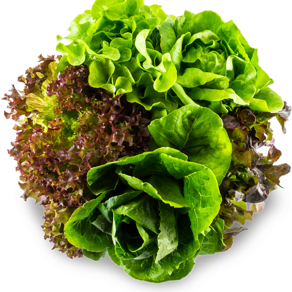 Смесь салатная Трио