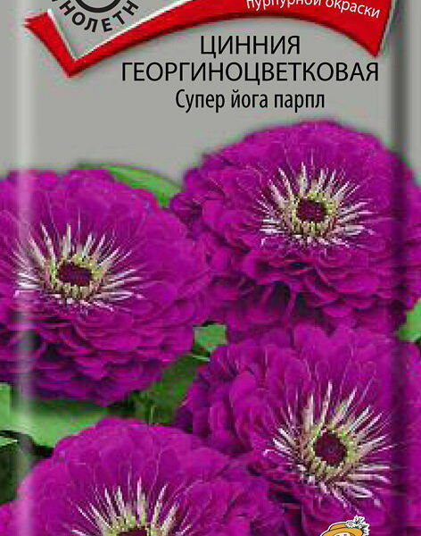 Семена цинния Супер йога парпл ТМ Поиск