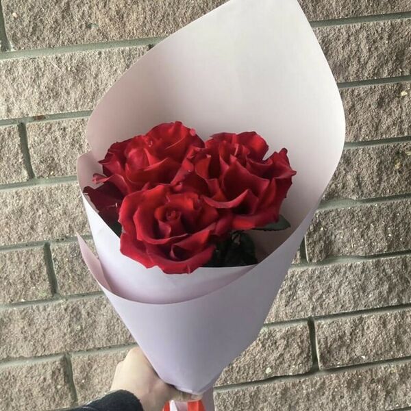 Крупные розы