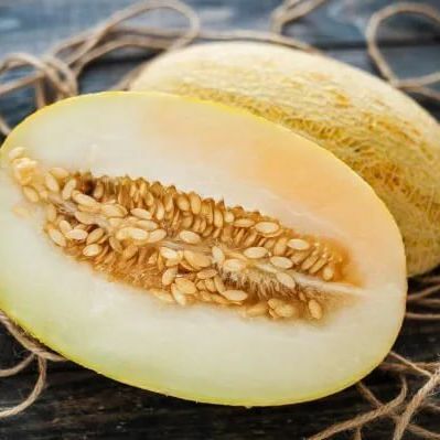 Дыня торпеда