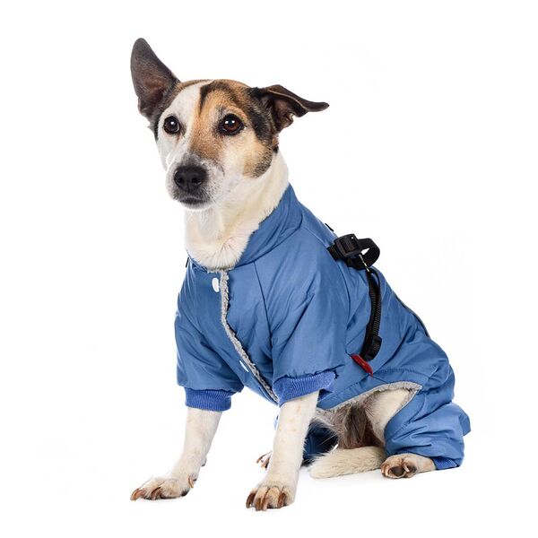 Комбинезон со шлейкой для собак S голубой (унисекс)