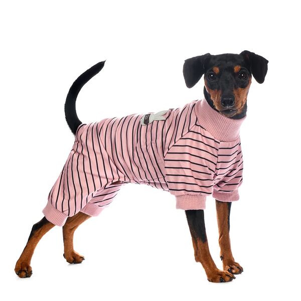 Костюм для собак 2XL розовый (унисекс)