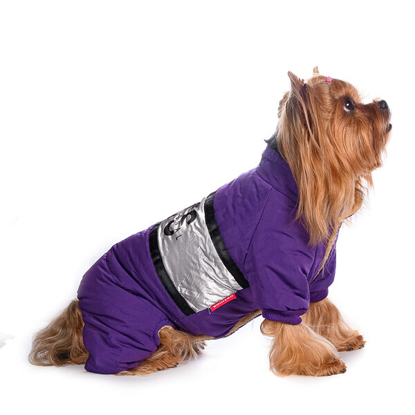 Комбинезон для собак M фиолетовый (девочка)