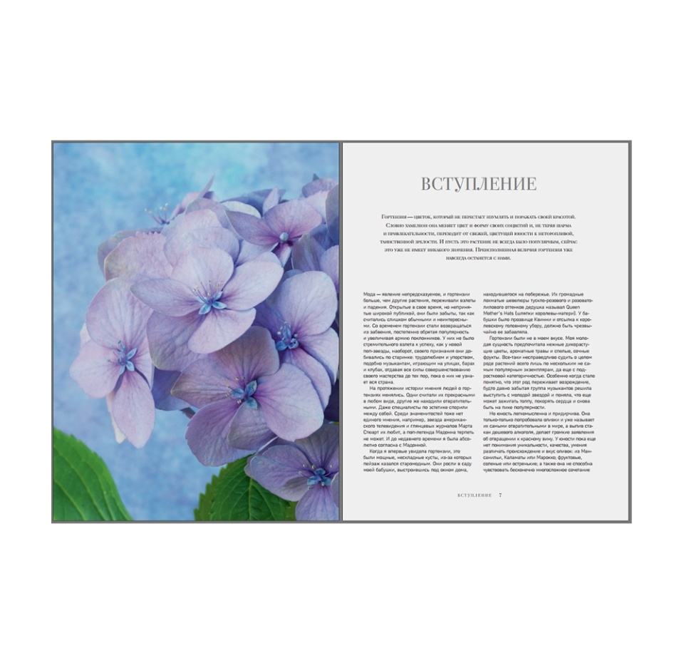 

Книга Гортензии. Прекрасные цветы для дома и сада, Россия