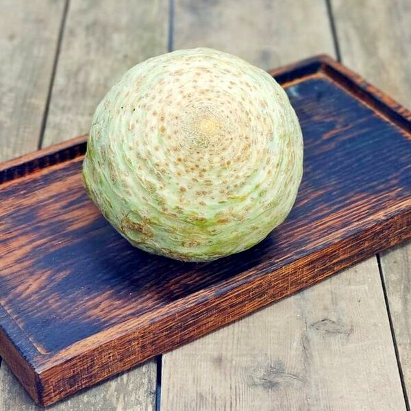 Сельдерея корень