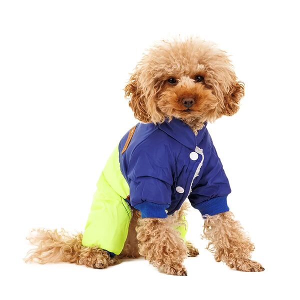 Комбинезон для собак M зеленый (унисекс)