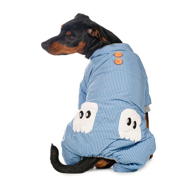 Комбинезон для собак 3XL голубой (унисекс)