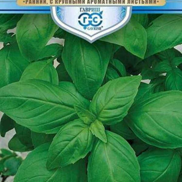 Базилик Русский гигант зелёный Гавриш Русский богатырь 0.1г