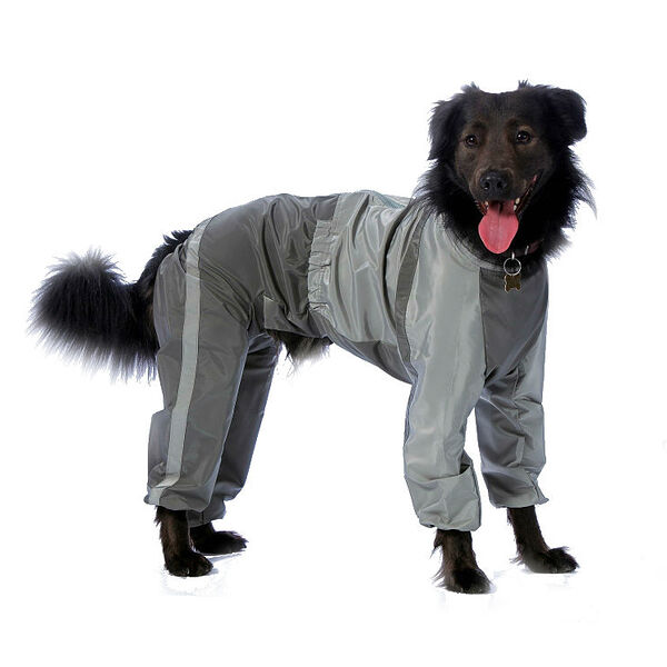 Комбинезон холодный для собак Немецкая овчарка 5XL (мальчик)