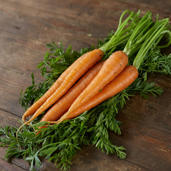 Морковь пучок