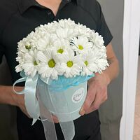 Изображение 3