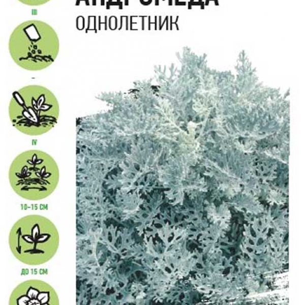 Семена Цинерария Андромеда ТМ Удачные семена