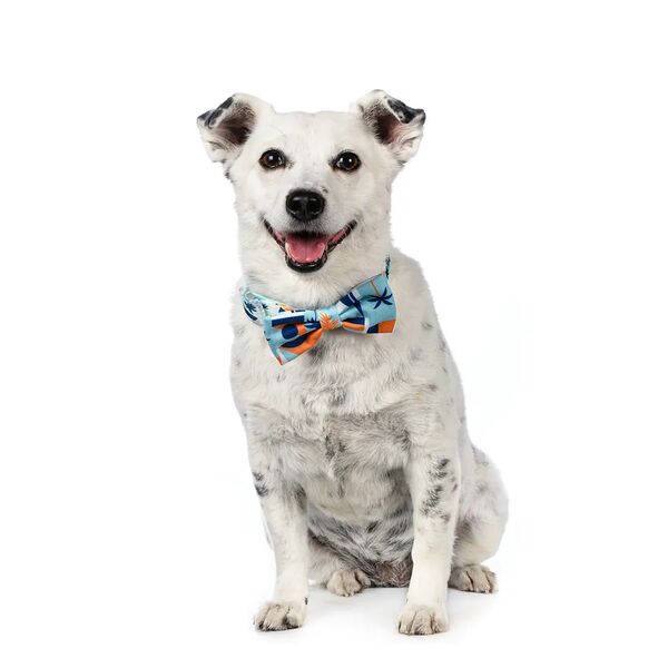 Галстук-бант голубой L