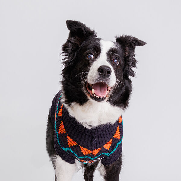 Свитер с узорами для кошек и собак, 60 см, черный