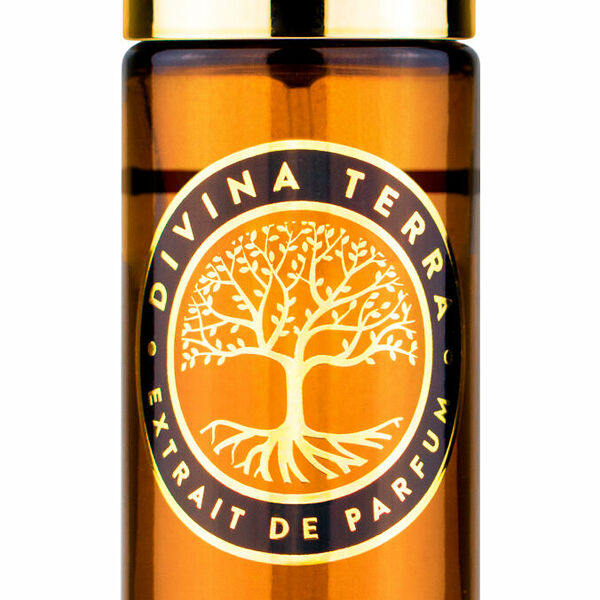  Духи нишевые DiVina Terra Intesa 15 мл