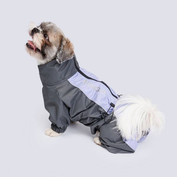 Дождевик Rungo Пекинес, мальчик, лаванда