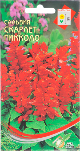 

Семена Сальвия Скарлет Пикколо (расфасовано ССО)