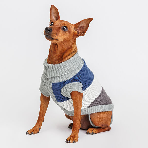 Свитер для собак, 25 см, серо-синий