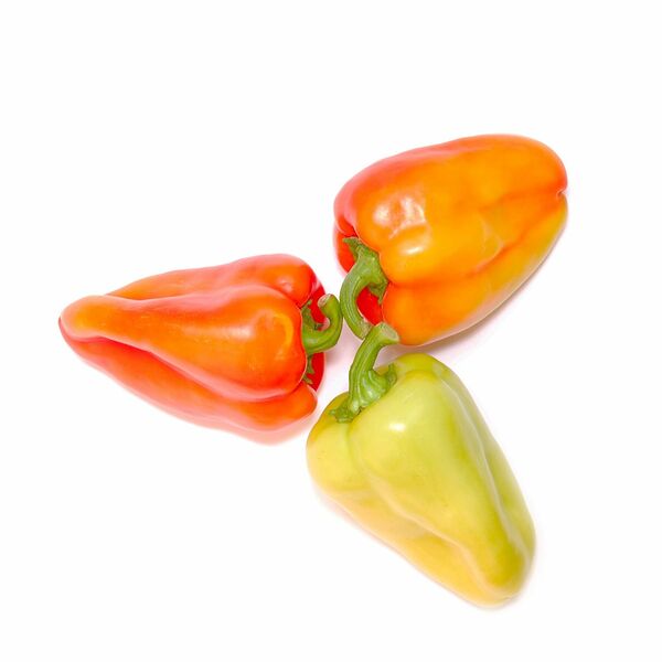 Перец грунтовой 