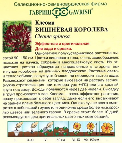 

Семена ГАВРИШ Клеома Вишневая королева, Арт. 10001672, 0.3г