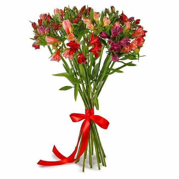 Букет альстромерий микс