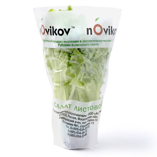 Салат листовой в горшке Novikov, Россия