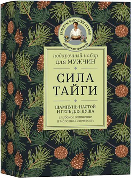 Набор подарочный Рецепты Бабушки Агафьи Сила Тайги Шампунь + Гель для душа Мужской