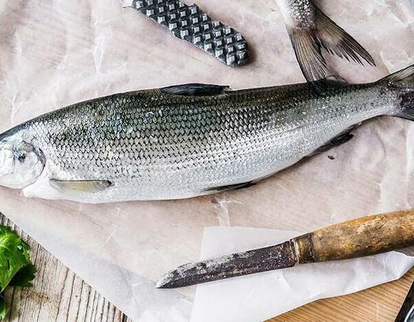 Сиг охлаждённый