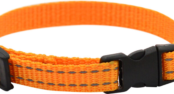 Ошейник Zooexpress FRESH LINE светоотраж.нить, капрон апельсин д/соб 10 мм 15-25 см