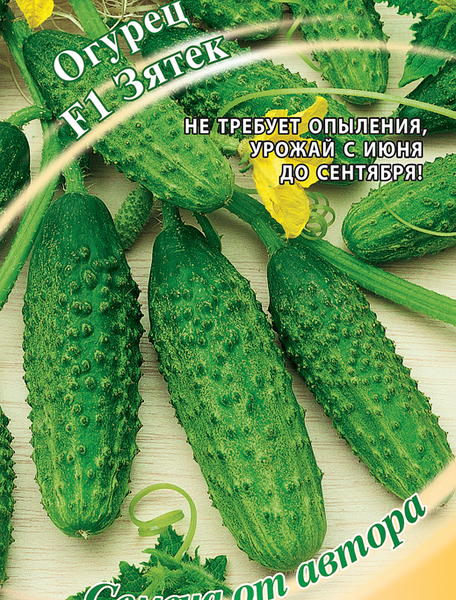 Семена Огурец Зятек F1 семена от автора, 10шт