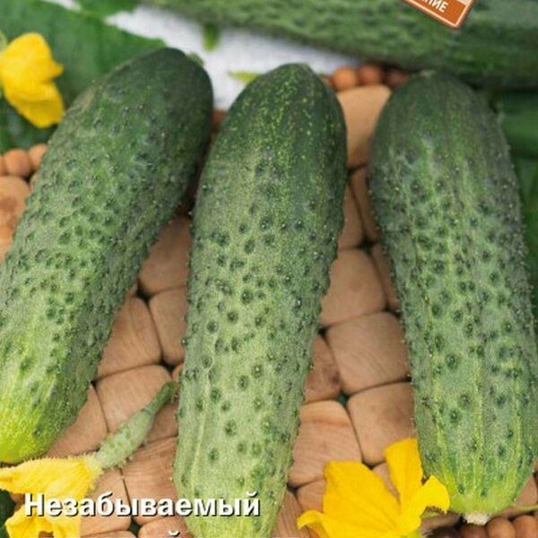Семена огурец Вкус Детства ТМ Поиск
