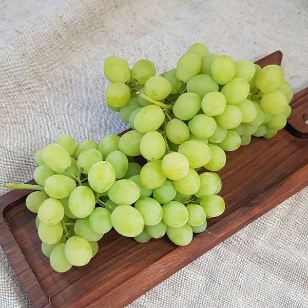 Виноград кишмиш белый (Danilovskymarket)