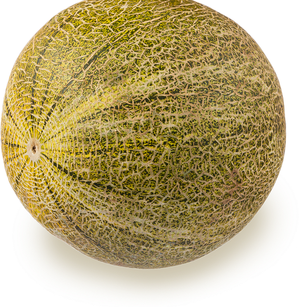 Дыня Колхозница, вес