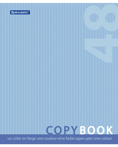 Тетрадь BRAUBERG Эко, А5, 48 листов, в клетку