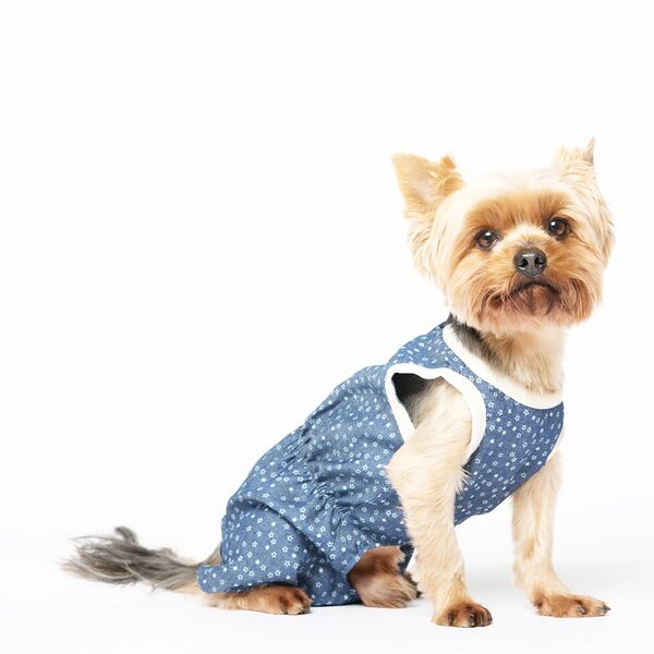 Комбинезон для собак Звездный S (мальчик)