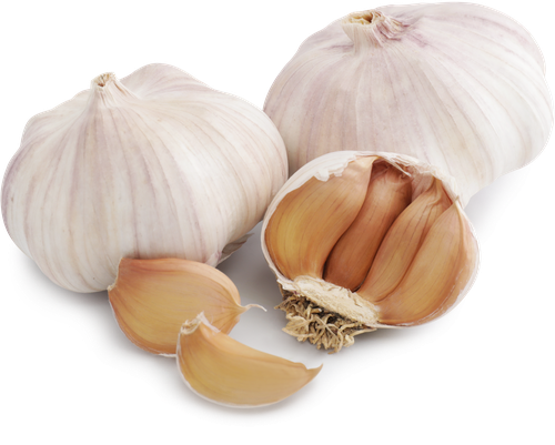 

Чеснок фермерский шейкер 150 г