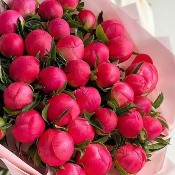 Букет из коралловых пионов