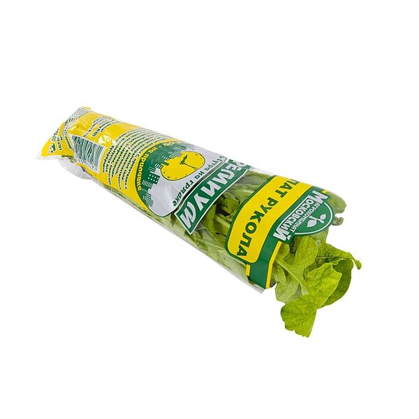 Салат Руккола Ак Московский в горшочке