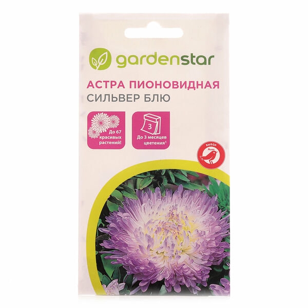 Астра пионовидная Сильвер Блю ТМ Garden Star (Гарден Стар)