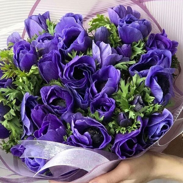 Букет из фиолетовых анемонов