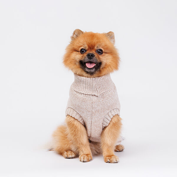 Свитер для собак, L, бежевый